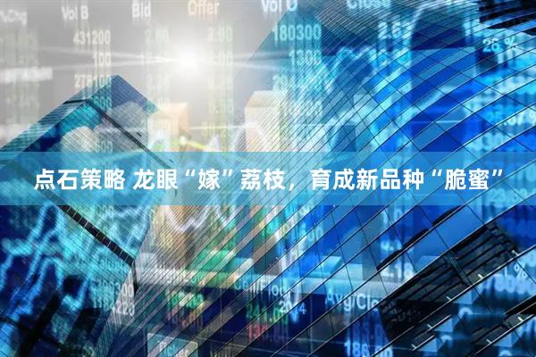 点石策略 龙眼“嫁”荔枝，育成新品种“脆蜜”